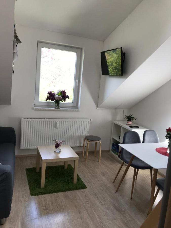 Mezonetovy Apartman Isabela Loučná nad Desnou Extérieur photo